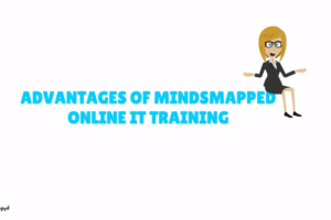 MindsMapped Consulting - Advantages, Online IT Training, Business Analysis Training,  Business Analyst Training,  QA training,  BA training,  Quality Assurance Training,  Placement Assistance,  Free Demo Class,  Training and placement,  free Online Business analyst training and placement,  free quality assurance training and placement
