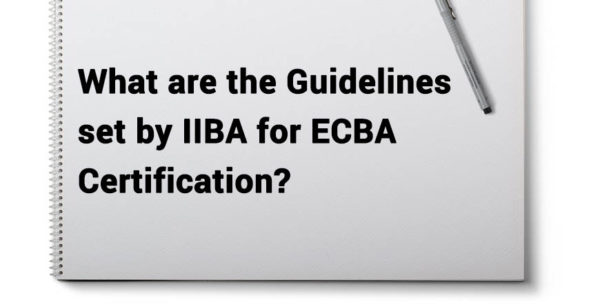 ECBA模擬問題