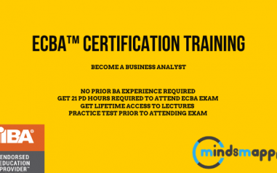 ECBA™ Certification Training Online Entry Certificate in Business Analysis™ | ECBA™ Certification – (Course to be launched soon)