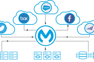 Introduction to Mule ESB and AnyPoint Platform What is Mule ESB and AnyPoint Platform