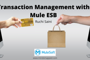 Transaction Management with Mule ESB Transaction Management in Mulesoft ESB