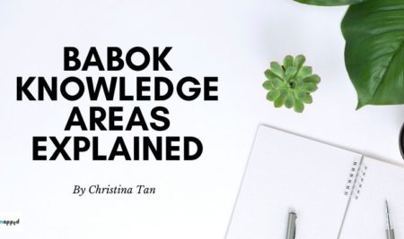 Business Analysis Knowledge Areas Explained as per BABOK Business Analysis Knowledge Areas Explained as per BABoK